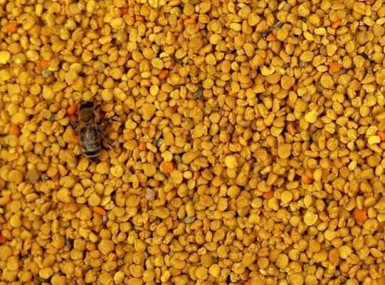  减肥吃蜂花粉怎么吃「蜂花粉减肥的成功案例」