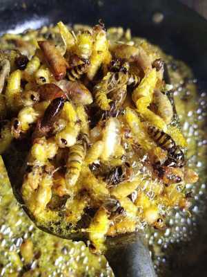 冰冻后的蜂蛹怎么炸,冷冻蜂蛹怎么做好吃 