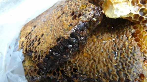 蜂巢蜜蜡吃法有哪些 蜂巢蜜蜡怎么吃