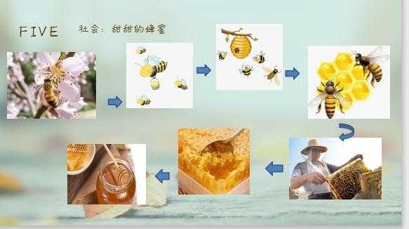 蜜蜂为什么要制作蜂蜜-蜜蜂为什么要酿制蜜蜂蜜
