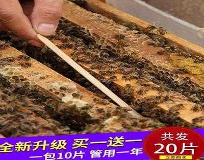 一箱蜜蜂产多少蜜虫子