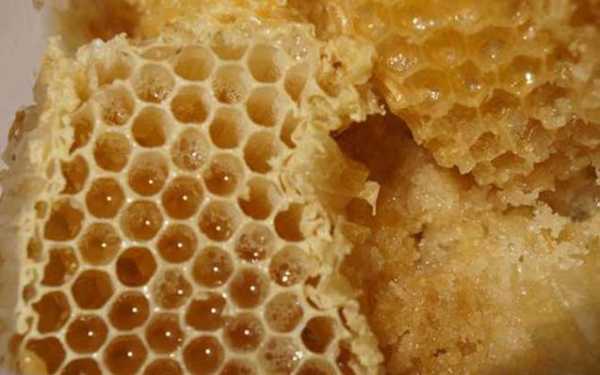 蜜蜂巢一天吃多少最好 蜜蜂巢一天吃多少