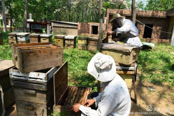 养蜂场的蜂蜜怎么储存_养蜂场的蜂蜜怎么储存的