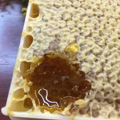 蜂巢蜜怎么样可以变成蜂蜜（蜂巢蜜怎么做成一盒）