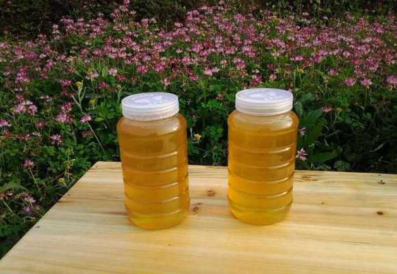 自制蜂蜜酒发酵多少天,自制蜂蜜酒发酵多少天能喝 