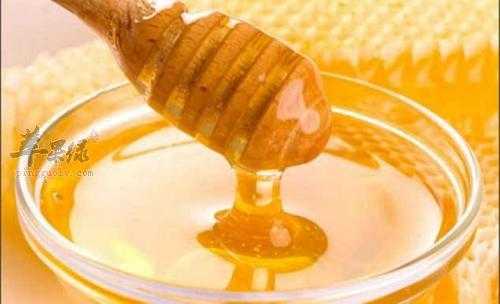 有些蜂蜜为什么为酸_蜂蜜为什么会酸能喝吗