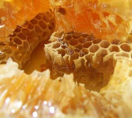  蜂胶对蜜蜂有什么用「蜜蜂场的蜂胶能治」