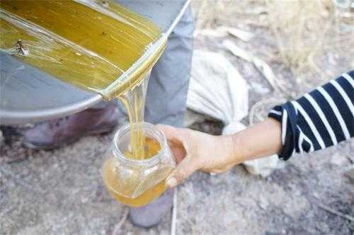 放养的蜂蜜多少钱一斤,养蜂人的蜂蜜多少钱一斤 