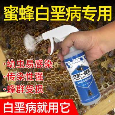 蜜蜂白垩病怎么治疗的 蜜蜂白垩病怎么治疗