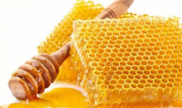 蜂胶有哪些功效与作用是什么