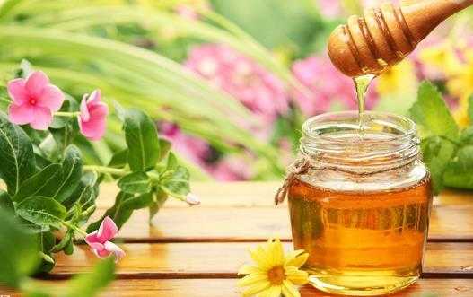 蜂蜜算什么产品-蜂蜜是什么类目