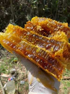 西双版纳的蜂蜜有什么特点