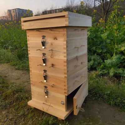 格子蜂箱的制作方法-格子蜂箱怎么养殖