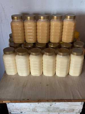  椴树蜂蜜怎么来「椴树蜂蜜制品是纯蜂蜜吗」