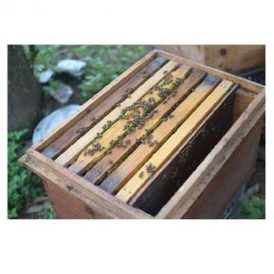 一箱蜜蜂产多少蜂蜜（一箱蜂箱能产多少蜜）