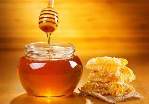 冬天的蜂蜜比春天的蜂蜜贵吗-冬天的蜂蜜是什么品种