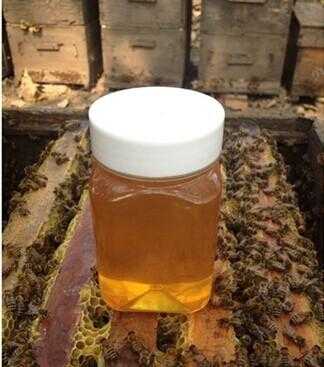 野蜂蜜呈固态什么情况下不能喝