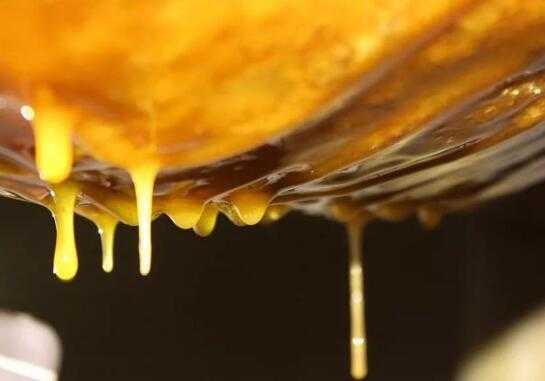  蜂胶怎么做成蜂蜜「蜂胶怎样制成蜂胶液」