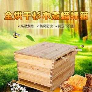 多少箱蜂可以办养蜂证_养蜂一般养多少箱