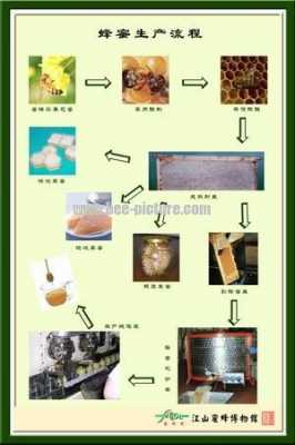 生产蜂蜜的四个步骤