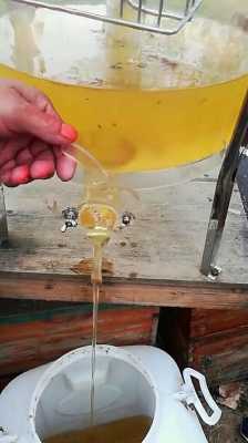 蜂蜜怎么过滤提纯去水（蜂蜜怎么过滤提纯去水分）