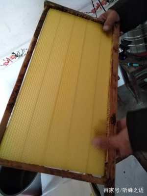 巢础怎么固定在蜂框上-巢础框怎么取蜜