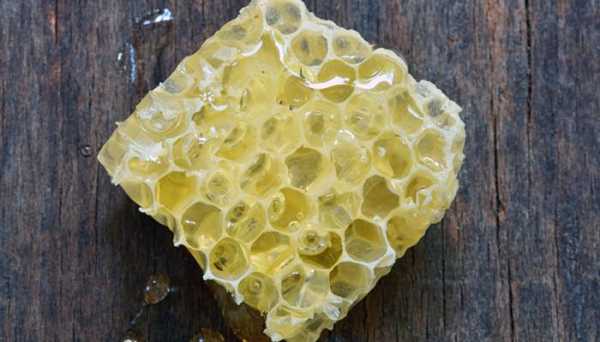 蜂胶在蜂箱里面什么样子（蜂胶在蜂群中起什么作用?）