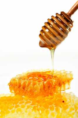 什么季节蜂巢有蜂蜜