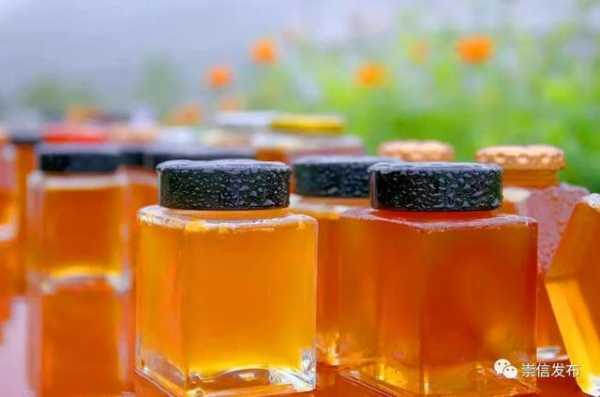 蜜蜂酿造蜂蜜做什么_蜜蜂酿制蜂蜜的过程