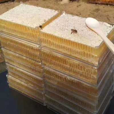 土蜂蜜巢蜜多少钱一斤-土蜂巢蜜多少钱