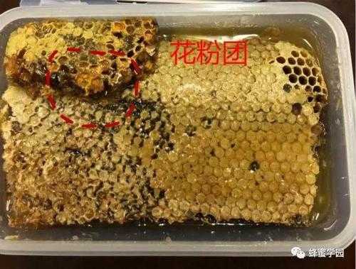 蜂巢里花粉太多好不好-蜂巢里的花粉怎么吃