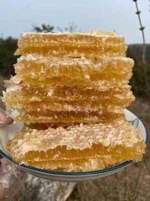 巢蜜是什么蜂蜜