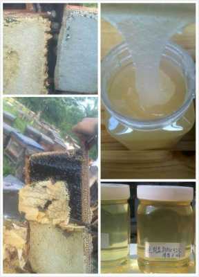 蜂蜜和子的封盖怎么区分,蜂蜜封盖是什么意思 