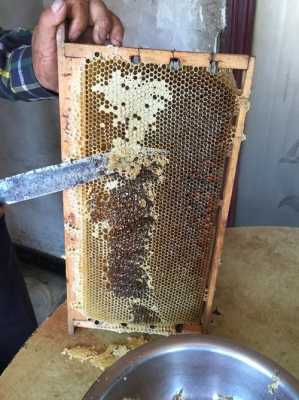 用什么方法取蜂蜡