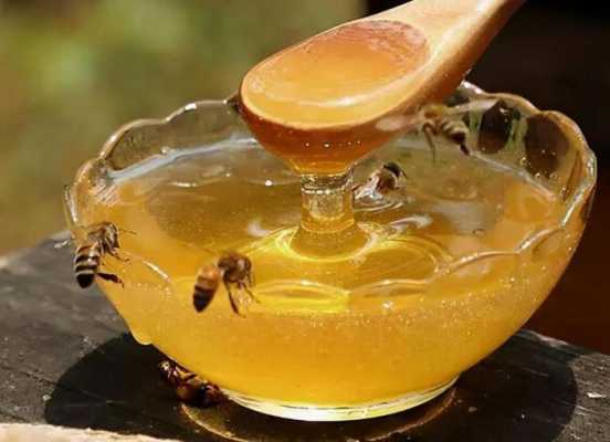 野生蜂蜜怎么分辨性凉,野生蜂蜜是凉性还是热性 