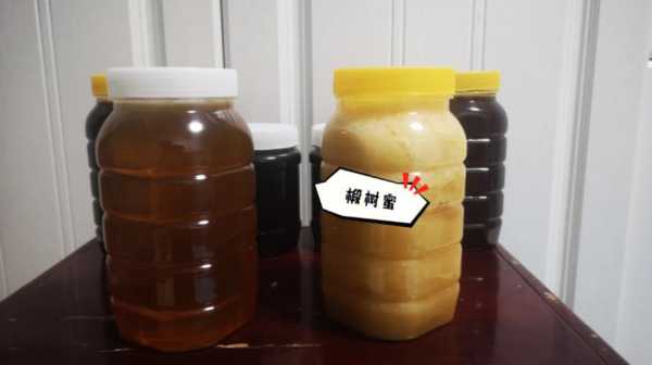 自家土蜂蜜在哪里可以卖 怎么才能买到土蜂蜜