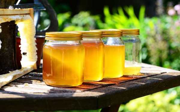 成熟蜂蜜和非成熟蜂蜜区别图-非成熟蜜的营养怎么样