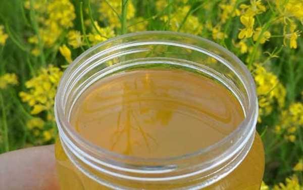 油菜蜜蜂蜜水图片大全-油菜蜂蜜有什么效果
