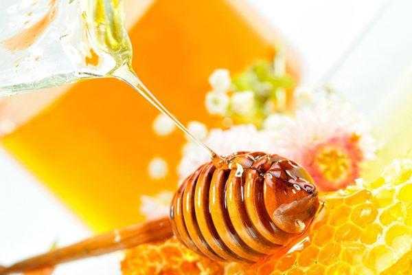 蜂蜜中为何会出现氯霉素残留