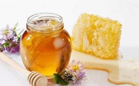  什么食物可以兑蜂蜜吃「什么和蜂蜜混着吃了会食物中毒」