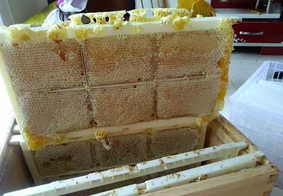 蜂巢蜜怎么分离-蜂巢蜜怎么割的