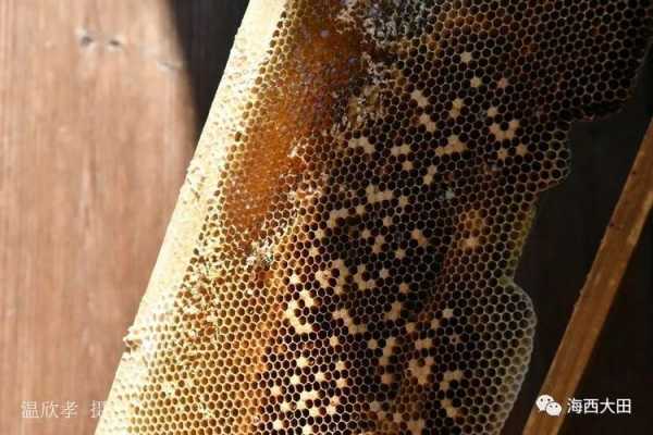  蜂巢过期是什么味道「蜂巢过期了还可以吃吗?蜂巢过期怎么处理?」