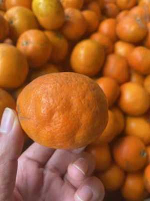 假的柑橘蜜怎么辨别_柑橘真果还是假果