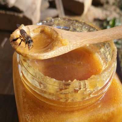 野生生蜂蜜怎么处理_野生蜂蜜怎么处理才能吃?野生蜂蜜需要怎么处理?