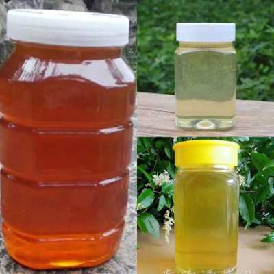 红色蜂蜜和白色蜂蜜有啥区别 酒红色蜂蜜是什么品种