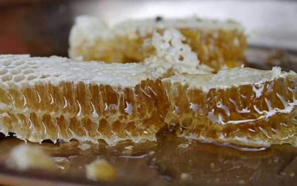 蜂巢蜜的禁忌人群-蜂巢蜜适合什么样的人吃