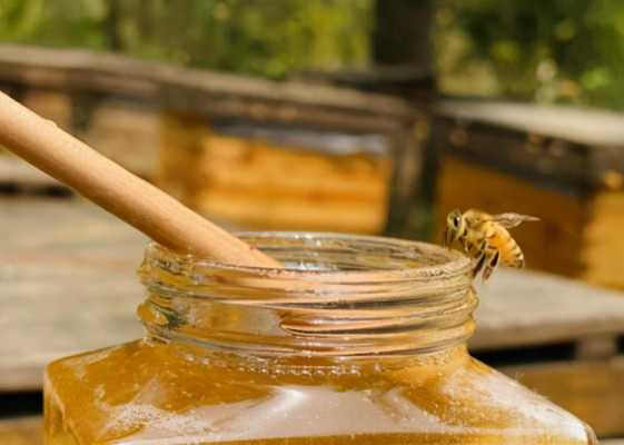 蜂蜜怎么成熟,蜂蜜怎么成熟保存 