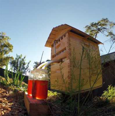 自动采蜜蜂箱制作-怎么做自动采集蜂蜜机