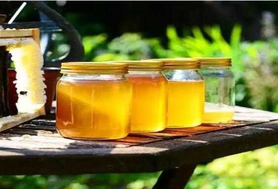 冬蜜的功效与作用蜜水的最佳时间表-冬蜜怎么吃
