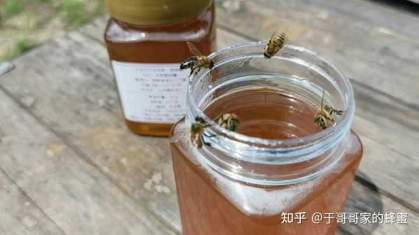 蜂蜜是不是野的怎么鉴别「如何分辨野蜂蜜」